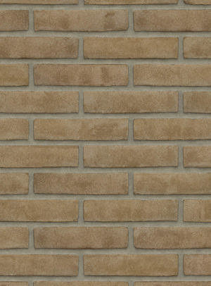 Gris sable fin MP FW