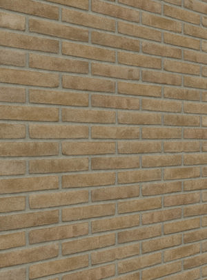 Gris sable fin MP FW