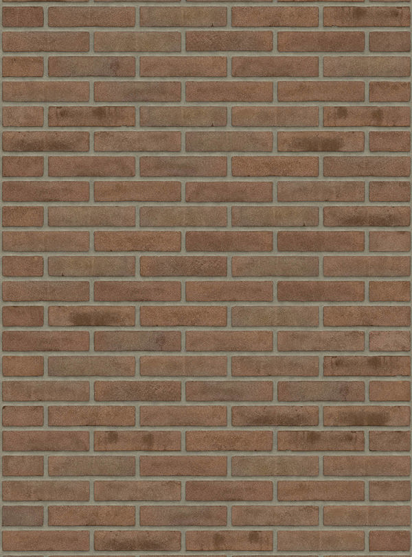 Brun Meuse MP