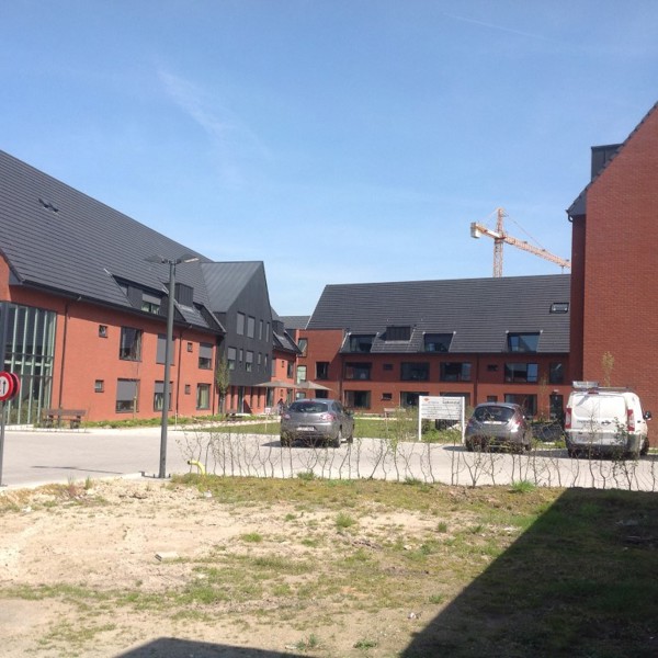 Aalst (BE) - Zambezi