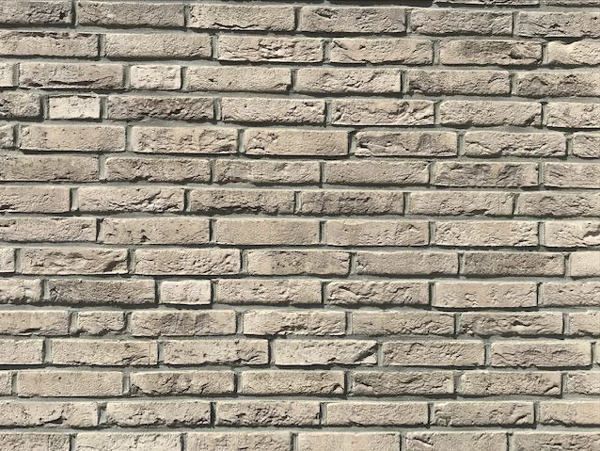 Noordwijk (NL) - Lepus WF HV