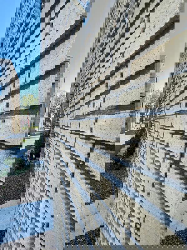 Kerkuil en Bosuil Amersfoort (NL) - Aqua Geel WF