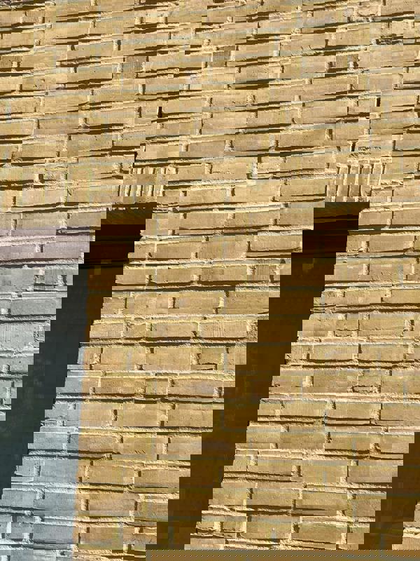 Kerkuil en Bosuil Amersfoort (NL) - Aqua Geel WF